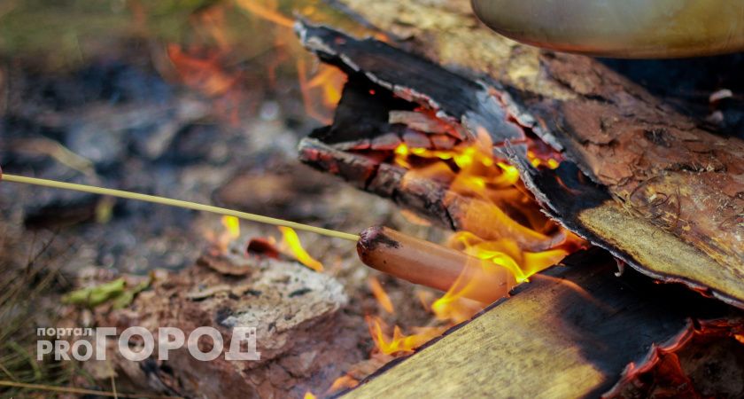 Прогноз на март, апрель и майские: Вильфанд сообщил, когда ждать долгожданные +15 градусов