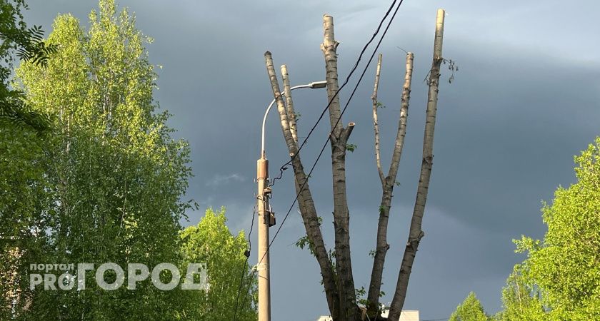 В Челябинской области действует штормовое предупреждение 