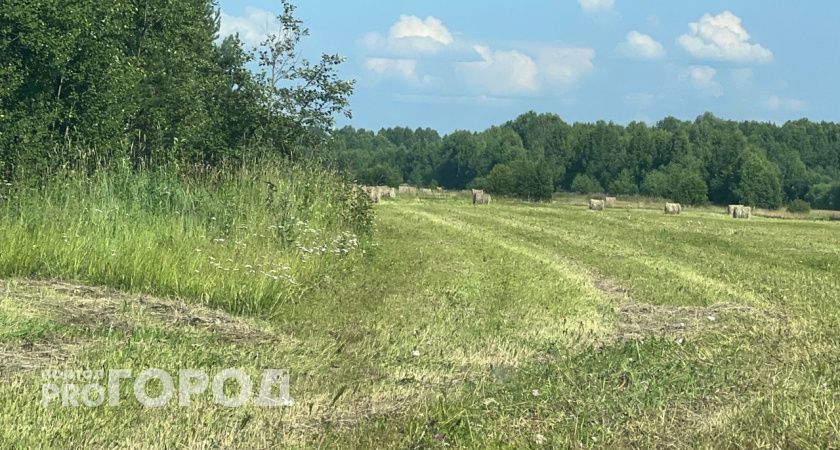 Уральские археологи обнаружили загадочное погребение особого ребенка