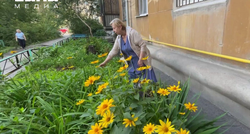 Пожилую женщину, которая отругала подростка за сорванный с клумбы цветок, отдали под суд