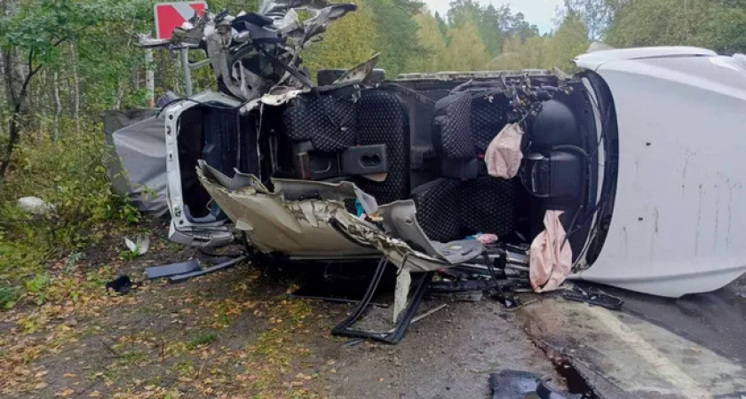 В Челябинской области в страшной аварии на трассе скончался ребёнок