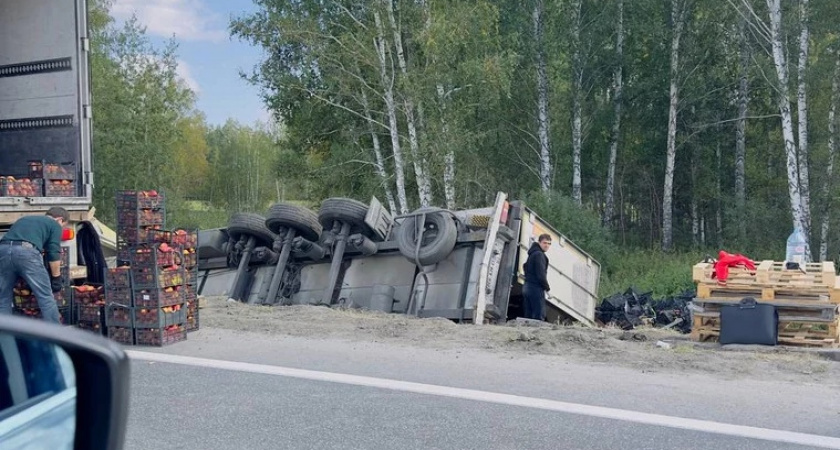 В Челябинской области перевернулась фура с яблоками