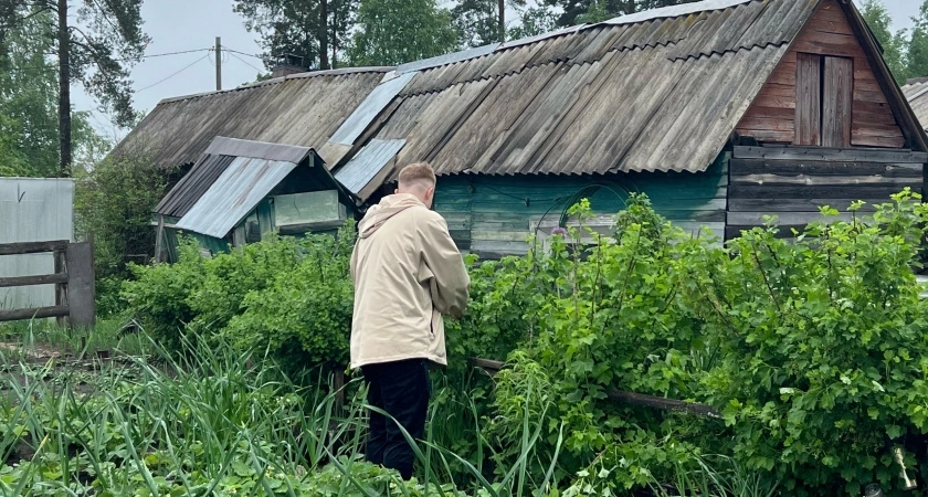 Срочно обрежьте малину до 16 сентября, удивитесь плодам в следующем году: полезные лайфхаки