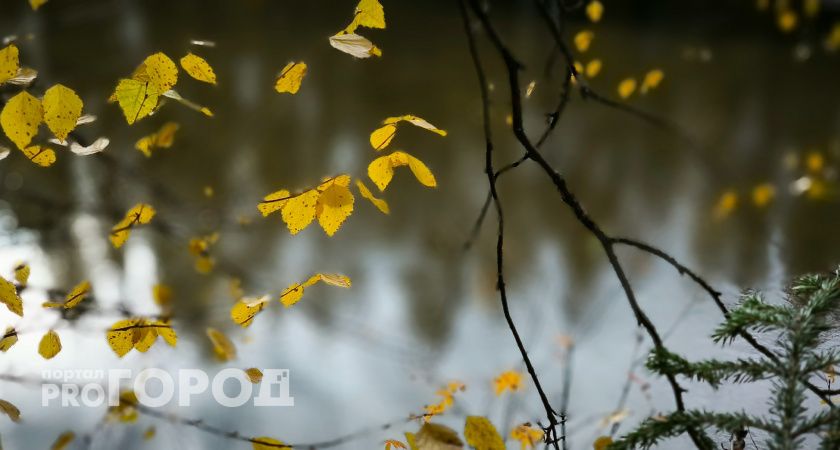 Вот и все: теплый сезон в Магнитогорске заканчивается