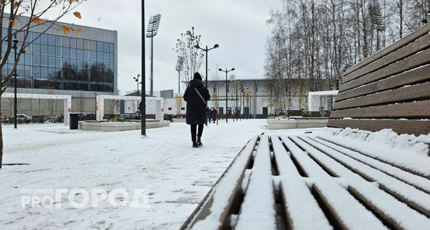 Весь выпавший снег растает: синоптики дали прогноз погоды на грядущую неделю