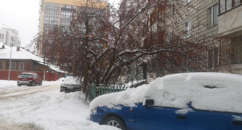 Первый снег и резкий холод ждут нас на выходных - новый прогноз