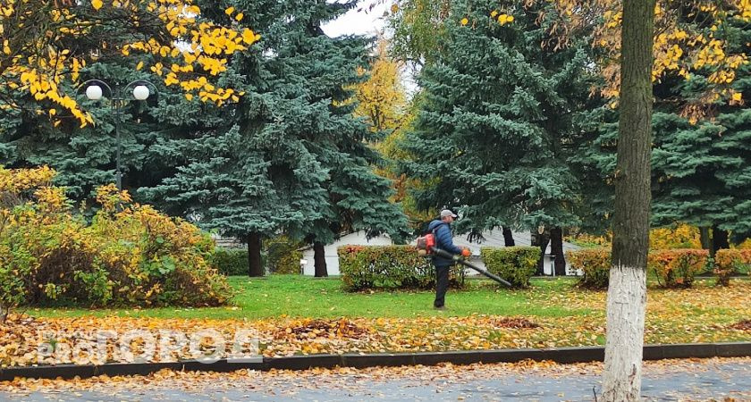 "Бабье" лето уйдет, не попрощавшись, в Челябинской области