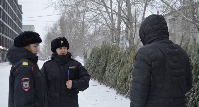 В Челябинской области прошла проверка мест торговли елками