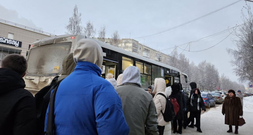 В челябинском городе перевозчик отказался выходить на маршрут