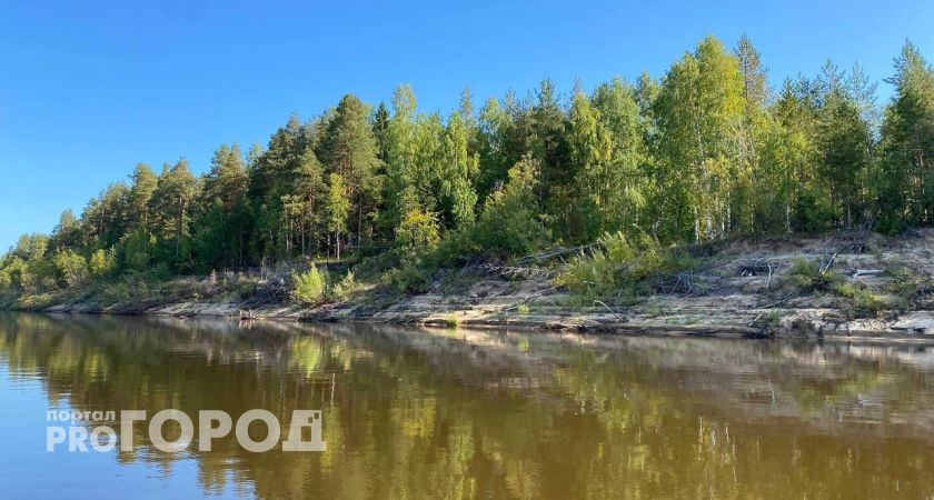 На Южном Урале волонтеры очистили около двух тысяч километров берегов от мусора 